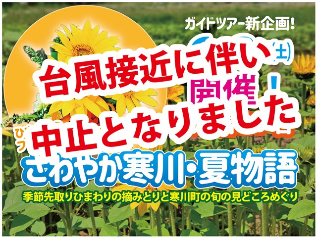 有料配布になりました！！】梶原景時を知れる冊子『梶原のスゝメ-寒川